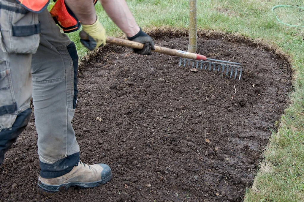 The area was then raked to make an even surface for planting