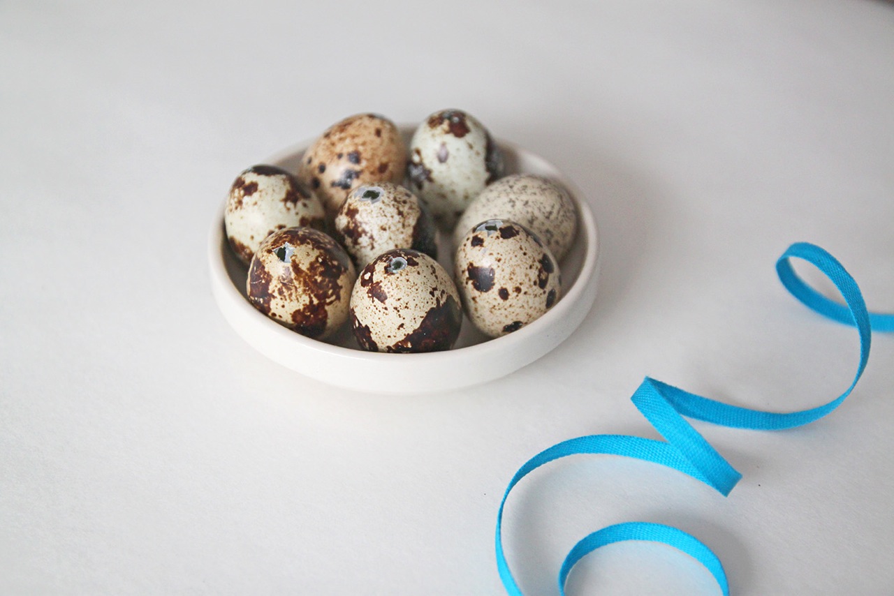 DIY Peacock and Quail Easter Egg Ornaments, eggs with holes, by Justine Hand and Angela Liguori 2.jpeg