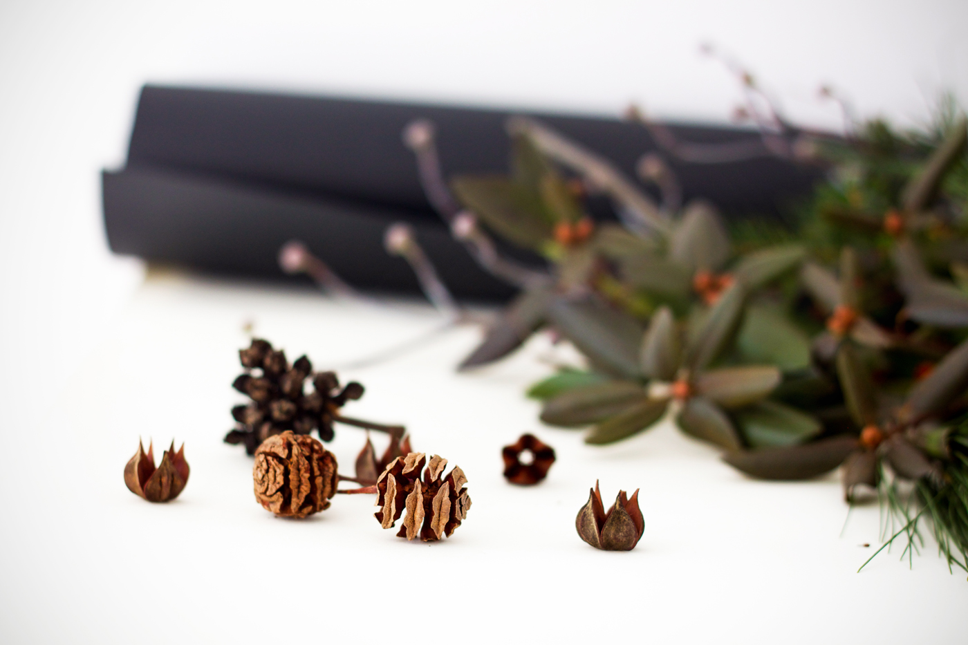 Greens included exotic seeds foraged at Arnold Arboretum, as well as evergreens, privet berries, and azalea leaves foraged from our yards.