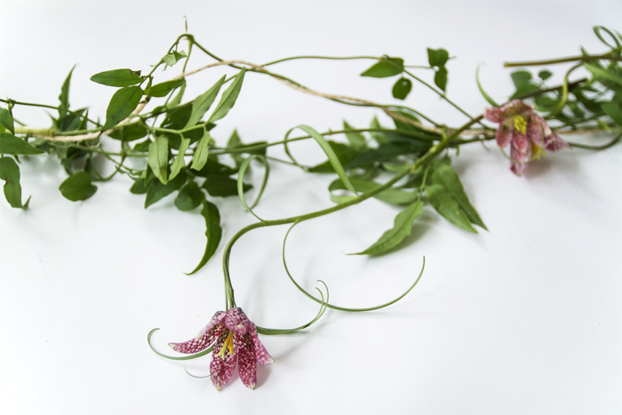 Step 2: Begin to work in your flowers. Like the vines, we let some of our blooms drape beneath the garland.