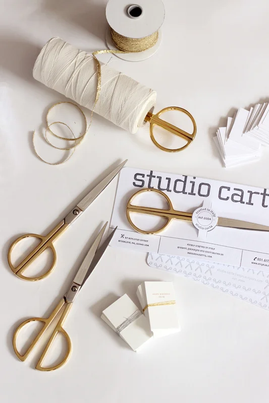 studio carta forbiciS.jpg