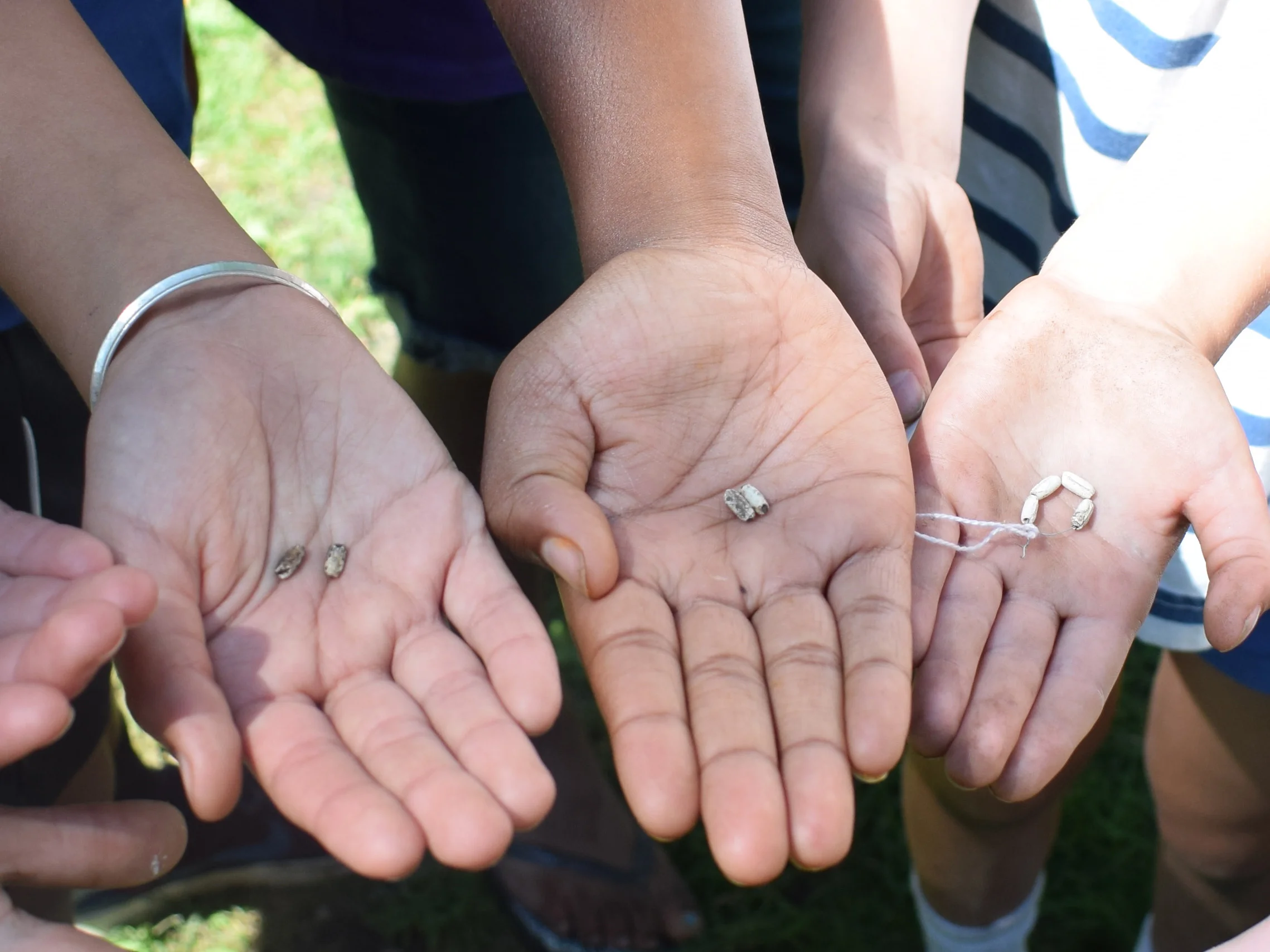 kids archaeology cropped.jpg