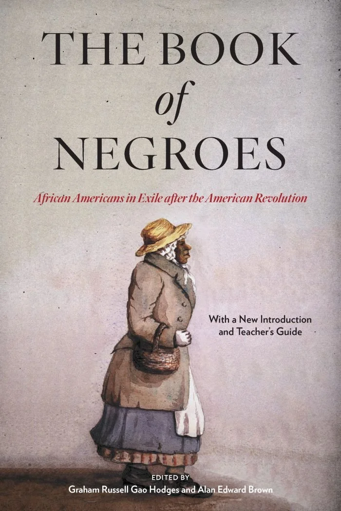 The Book of Negroes Cover Image.jpg