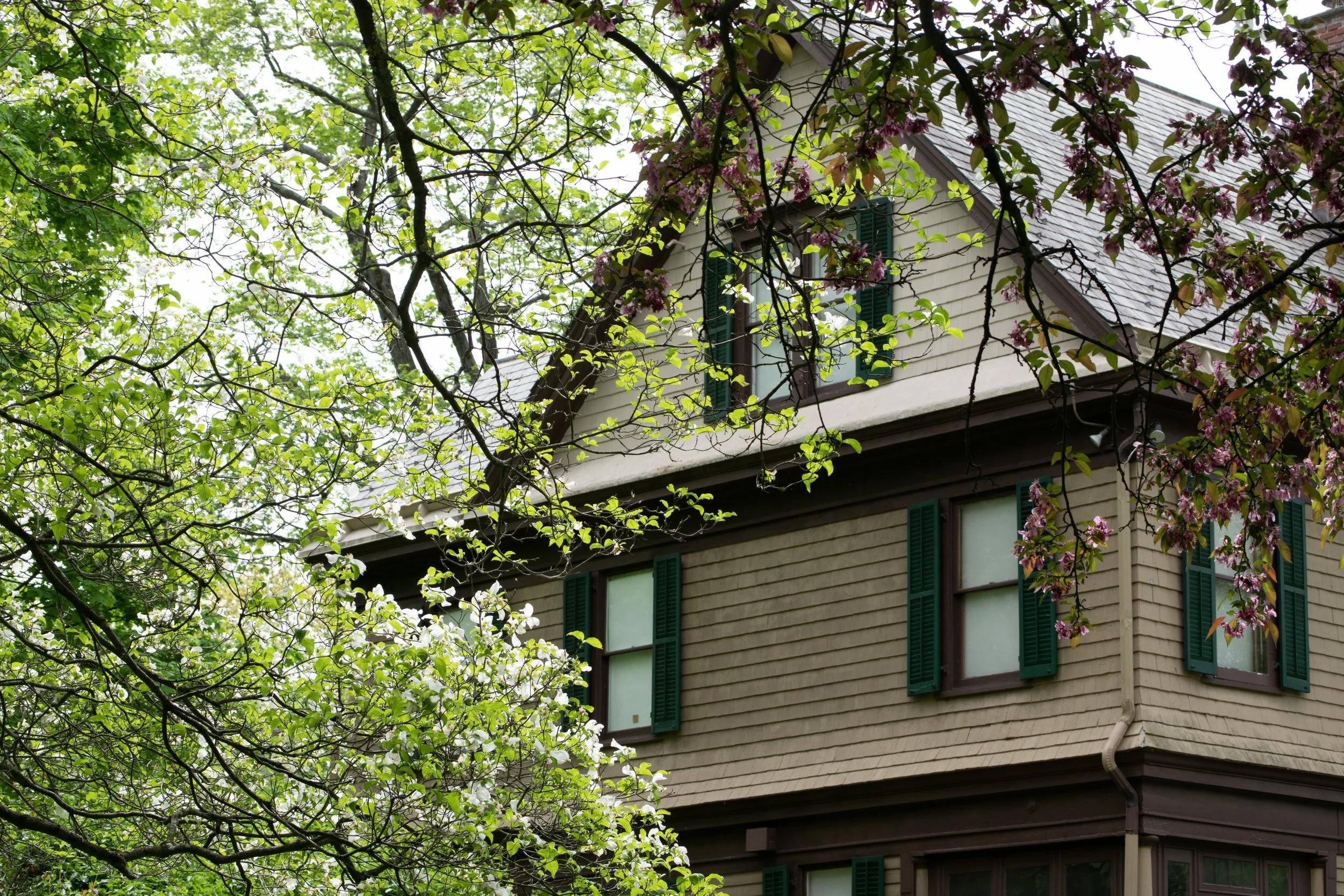 "Gilding The Lily: Transforming the Deyo House," a special tour led by Kevin Cook
