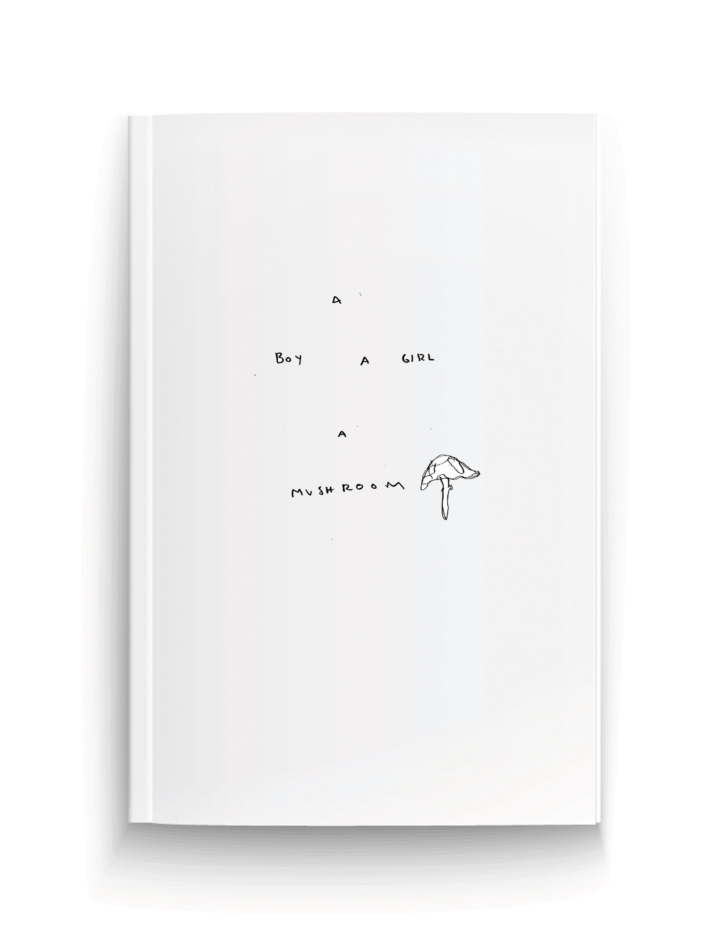 A Boy A Girl A Mushroom Book Cover.jpg
