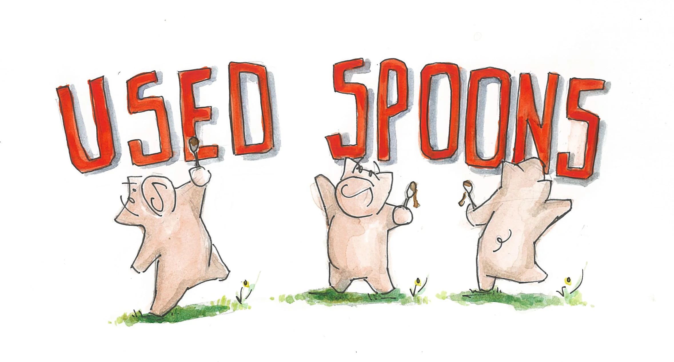usedspoons.jpg