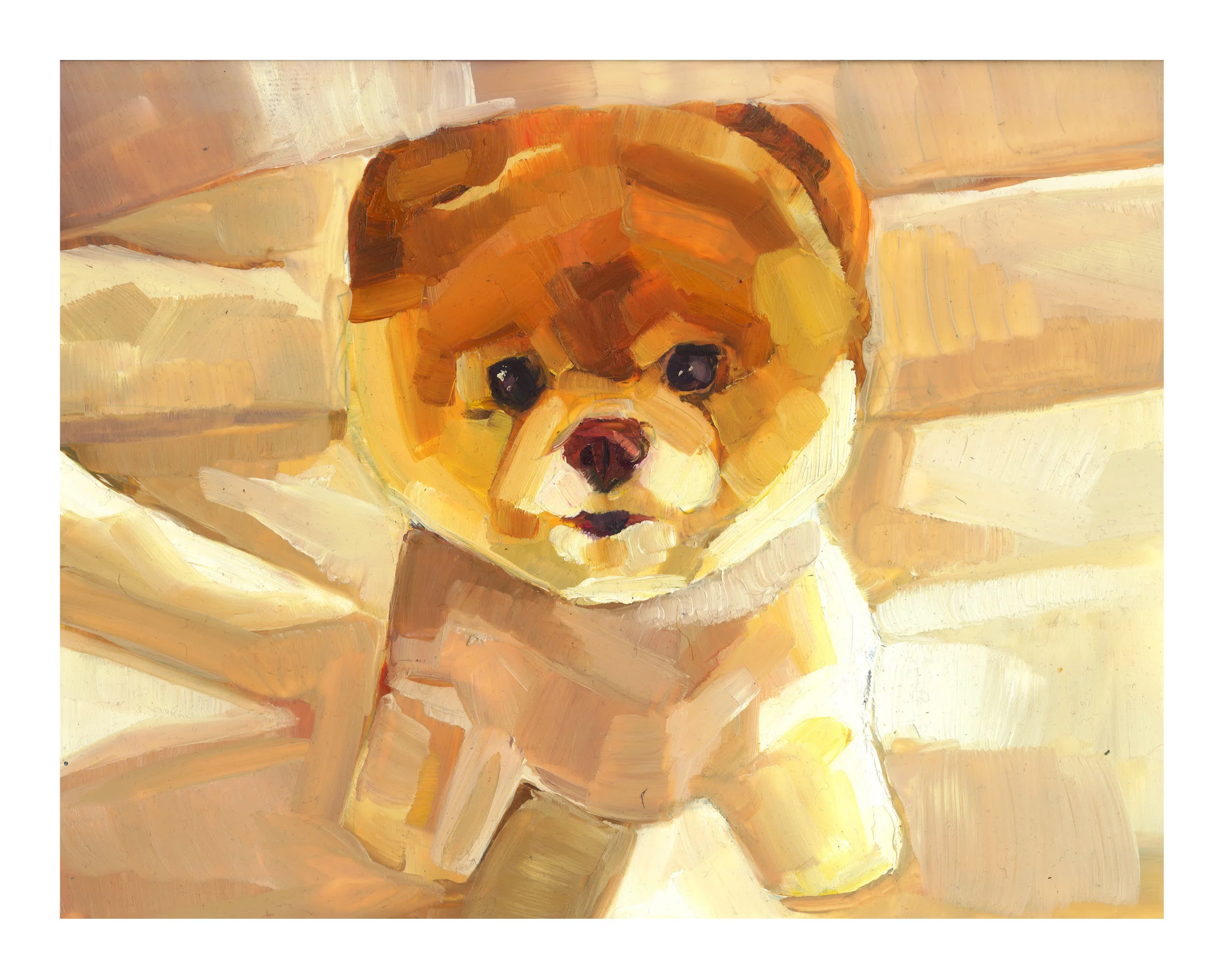 Bearr8x10.jpg