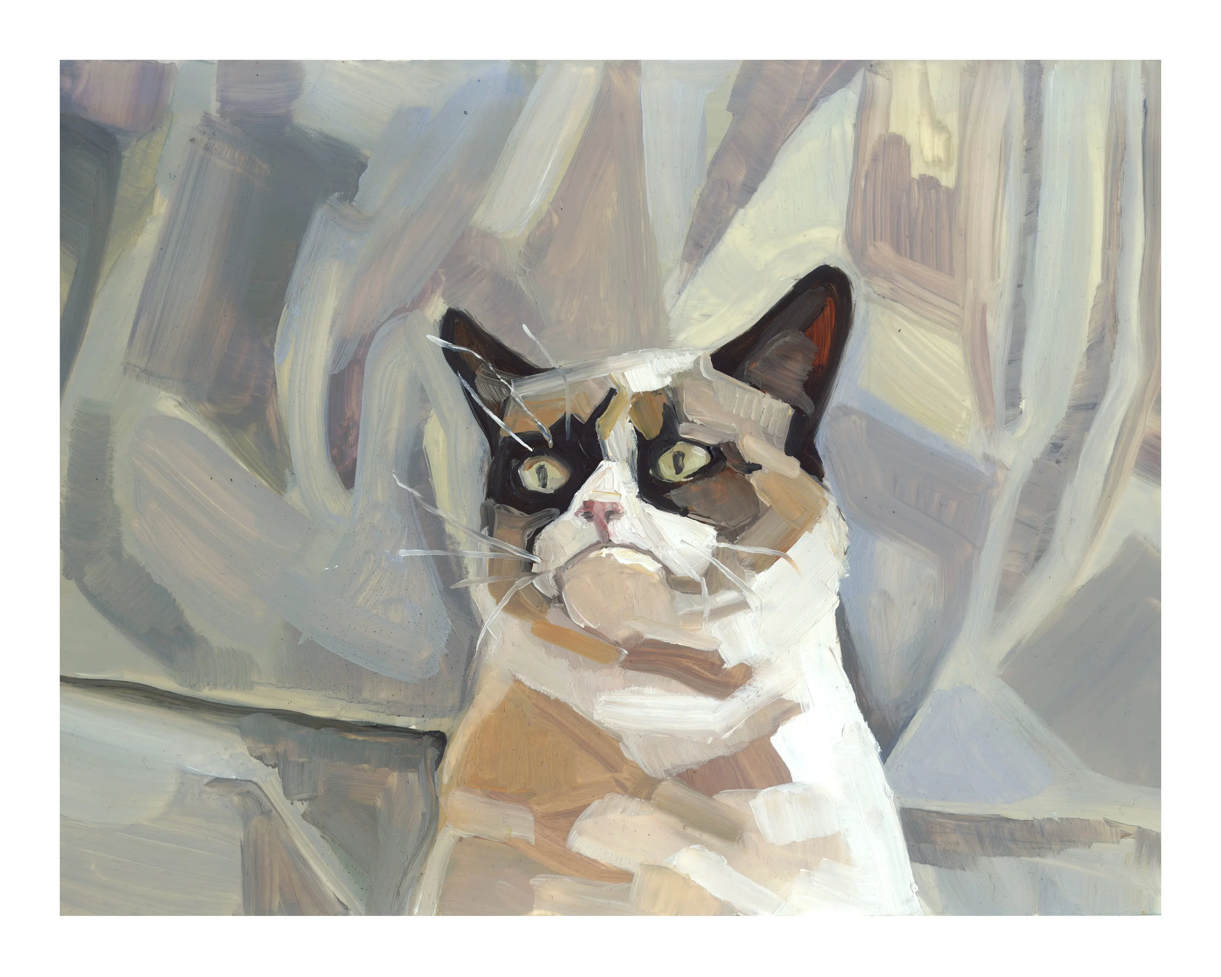 Cat8x10.jpg