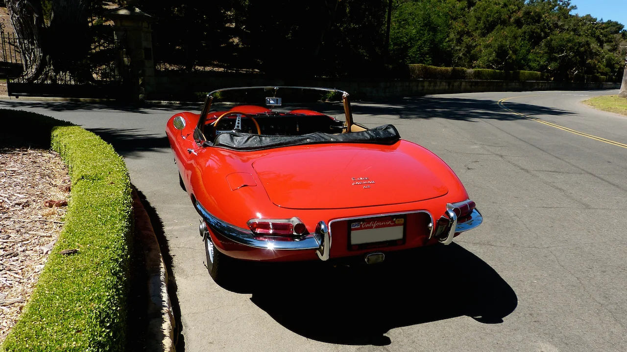 P1080439.JPG
