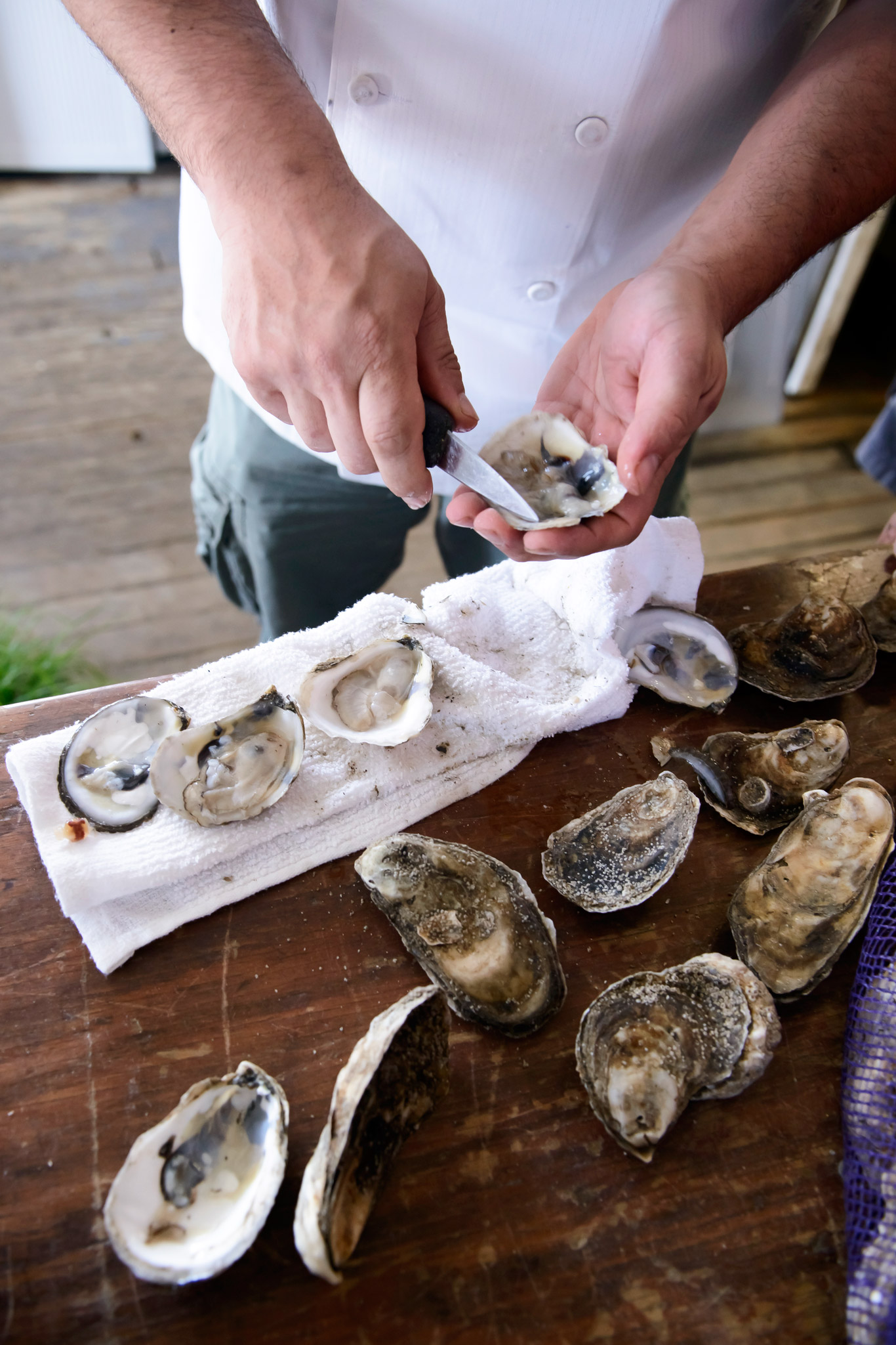 oyster-bar-20140527-095039.jpg