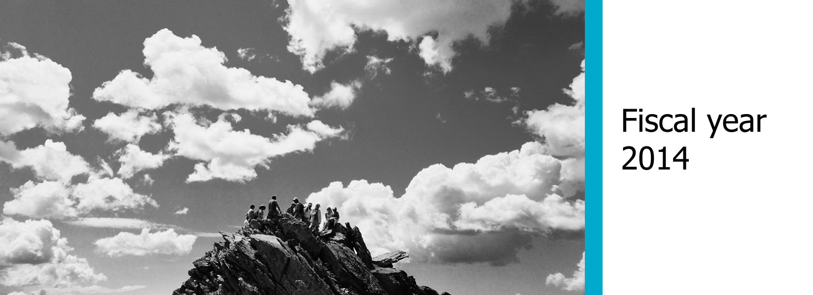 FY2014.png