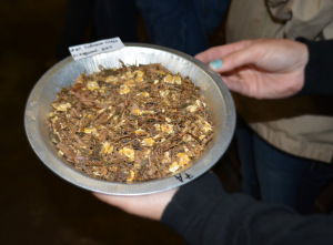 This sorghum silage feed ration sample was passed around for the workshop attendees to view.