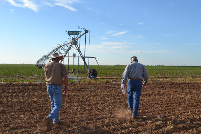 Left to right: Glen Schur and Bob Glodt leading the field walk.