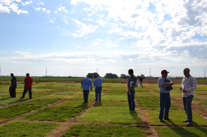Travis Culpepper (far right) and his group learning about different turf species water requirements on drip.