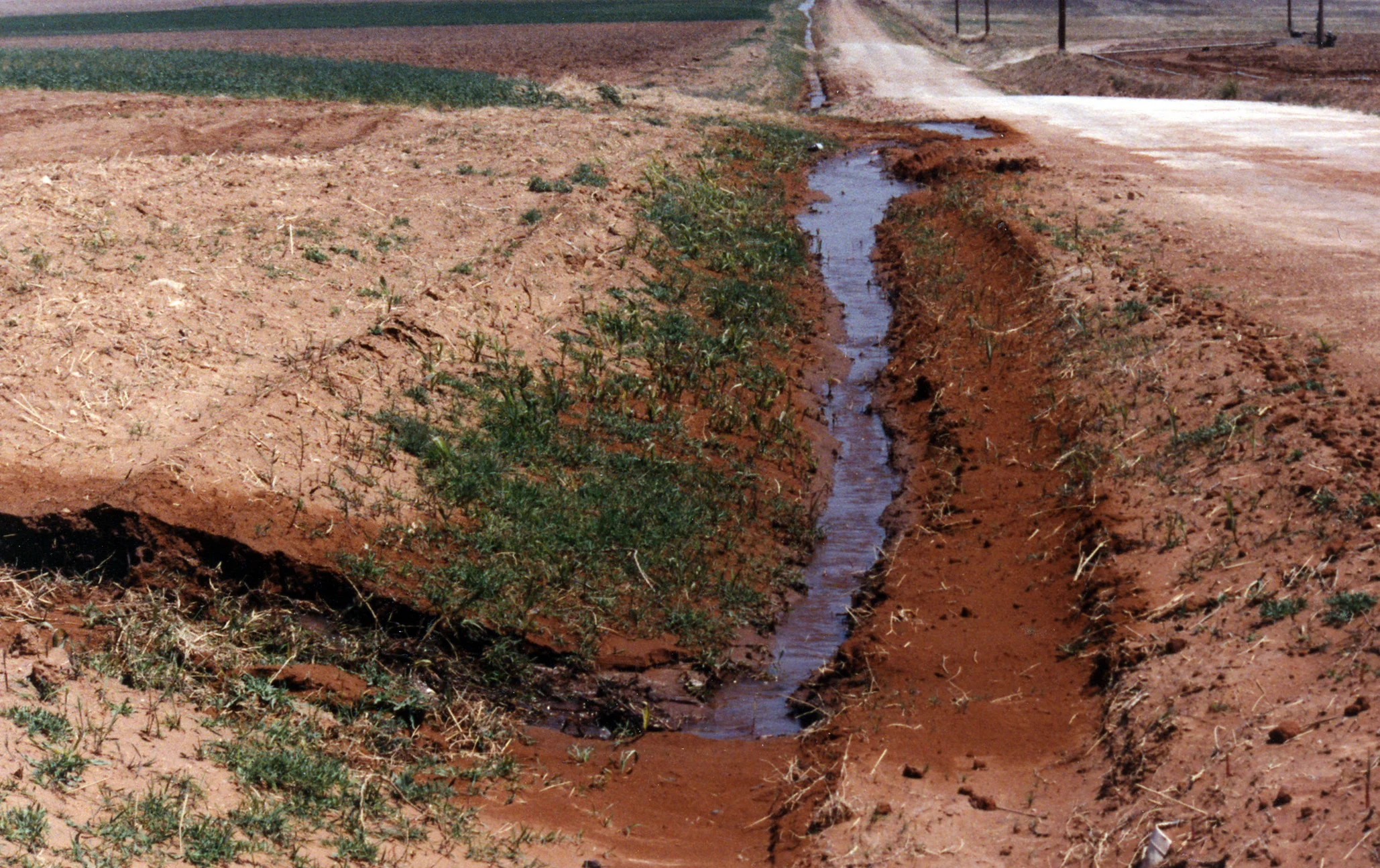 Irrigation tailwater escapes from a field and travels along a county road.
