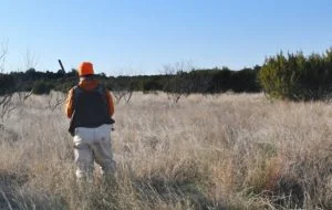 Quail hunter fire danger.jpg