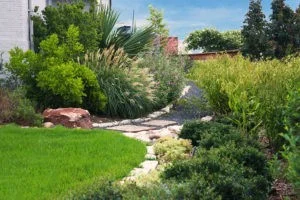 "Find" more water through landscaping techniques