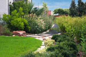 Dividing landscape into one part turf, one part natural plants and one part permeable hardscape can save water. (Texas A&amp;M AgriLife photo by Gabe Saldana)
