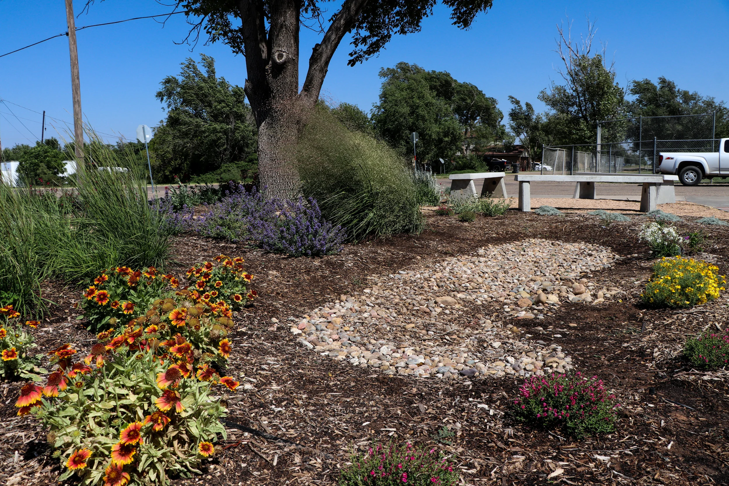 Rain garden outside Bushland Elementary School. Source: Katherine Drury, HPWD Education and Outreach Coordinator