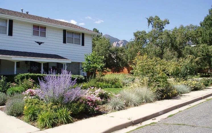 Prime example of using less turf and more drought tolerant plants; Source: www.engergy.gov