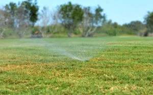 AgriLife Extension offers water wise tips for turfgrass