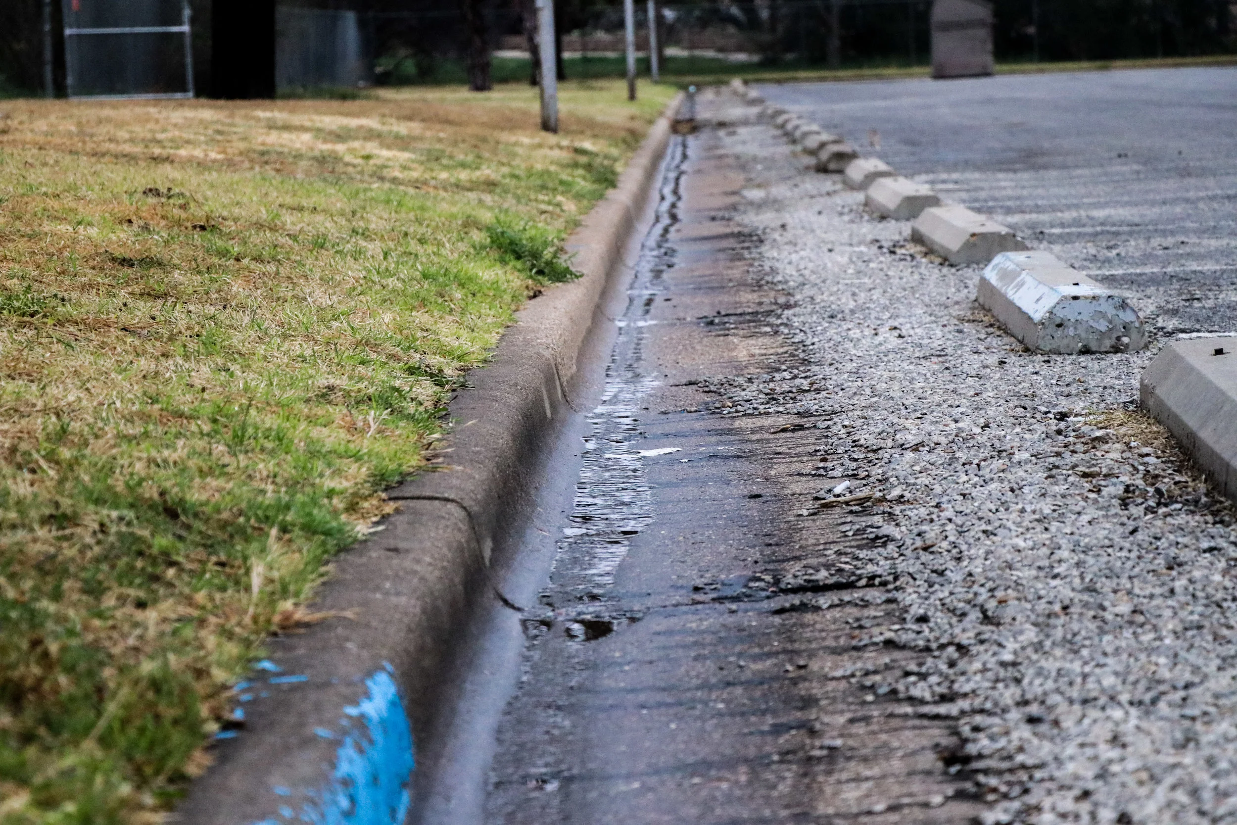 Make sure your irrigation system does not apply water to streets, sidewalks, driveways or other surfaces that allow runoff.