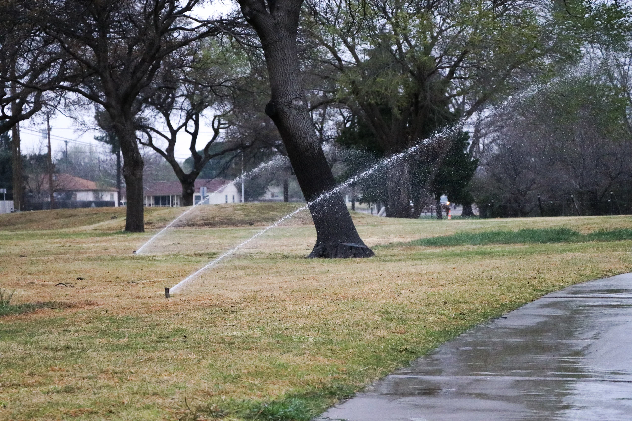 Schedule irrigation systems to run in the early morning hours to avoid evaporation and wind drift.