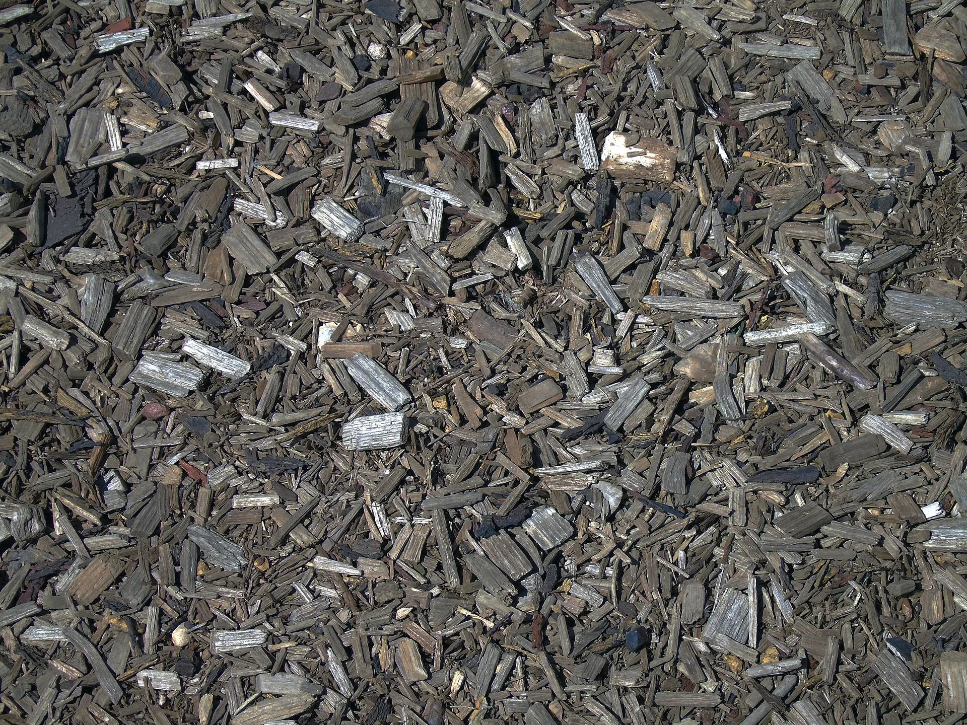 A layer of ORGANIC MULCH can help reduce the amount of moisture evaporating from the soil.