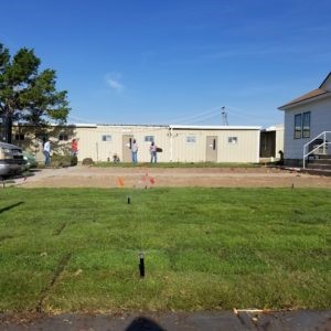 Zoysia turfgrass is being studied by Texas A&amp;M AgriLife and USDA-ARS to determine if it is water-efficient and cold hardy in Texas Panhandle landscapes. (Texas A&amp;M AgriLife photo by Kay Ledbetter)