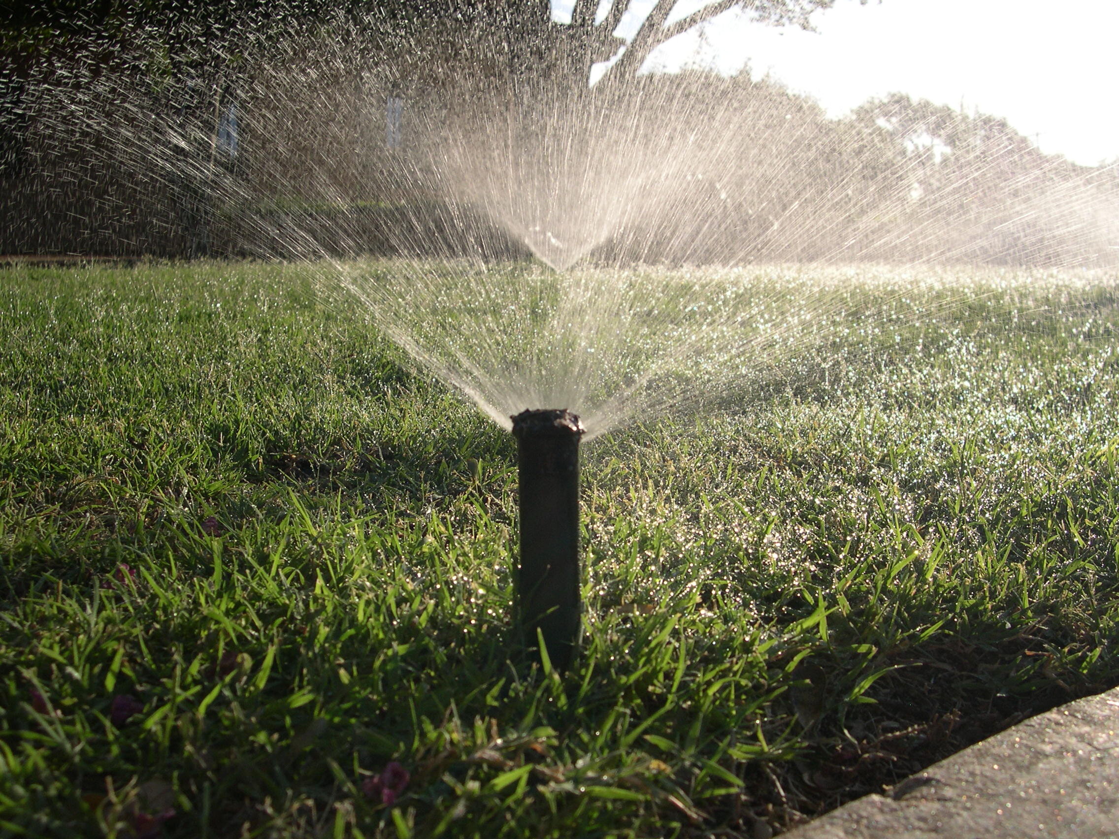 july is the summer month when most water is applied for landscape irrigation. however, much of the water is wasted due to inefficient irrigation practices.DO your part to water smart!