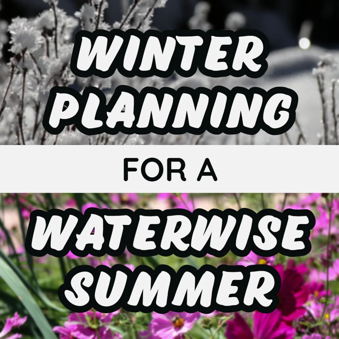Winter Planning for a Waterwise Summer