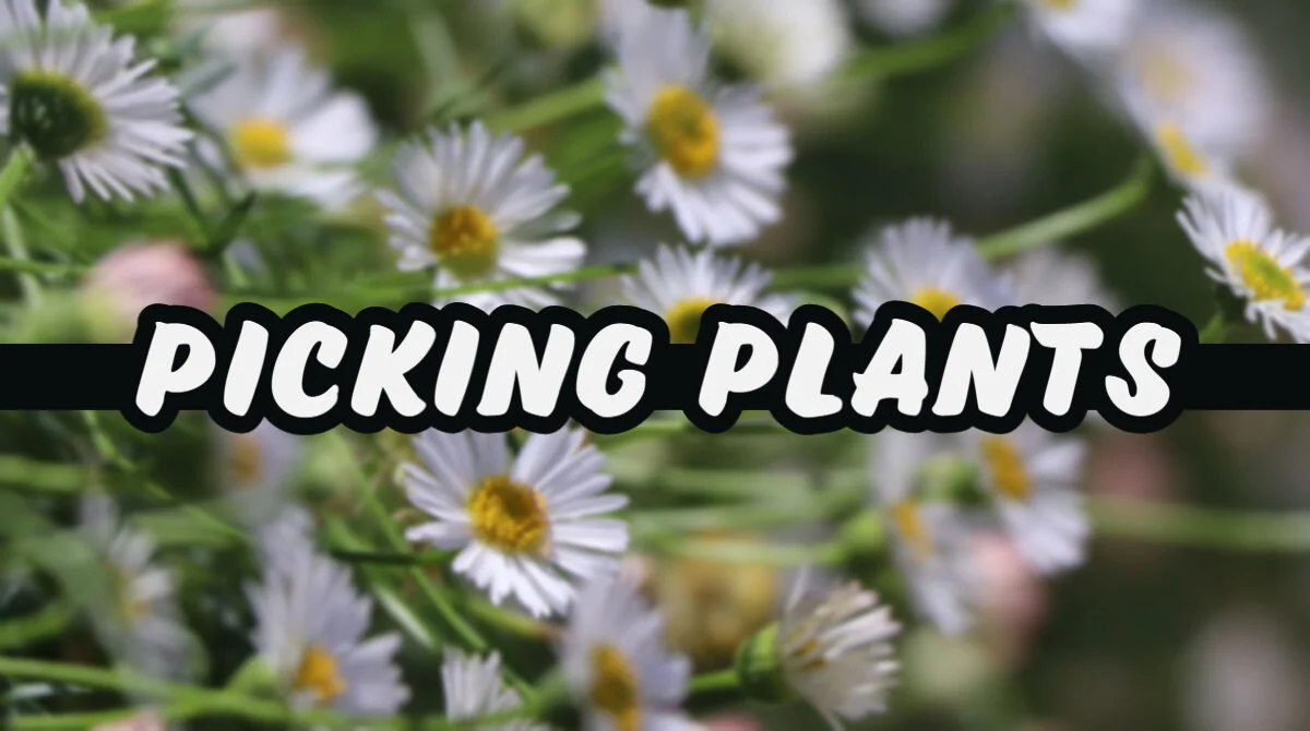 Blog_Headers Copy.jpg