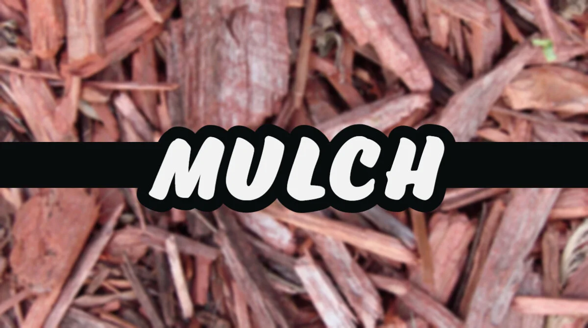 Blog_Headers Copy (2).jpg