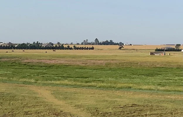 Tahoka Playa Basin.jpg