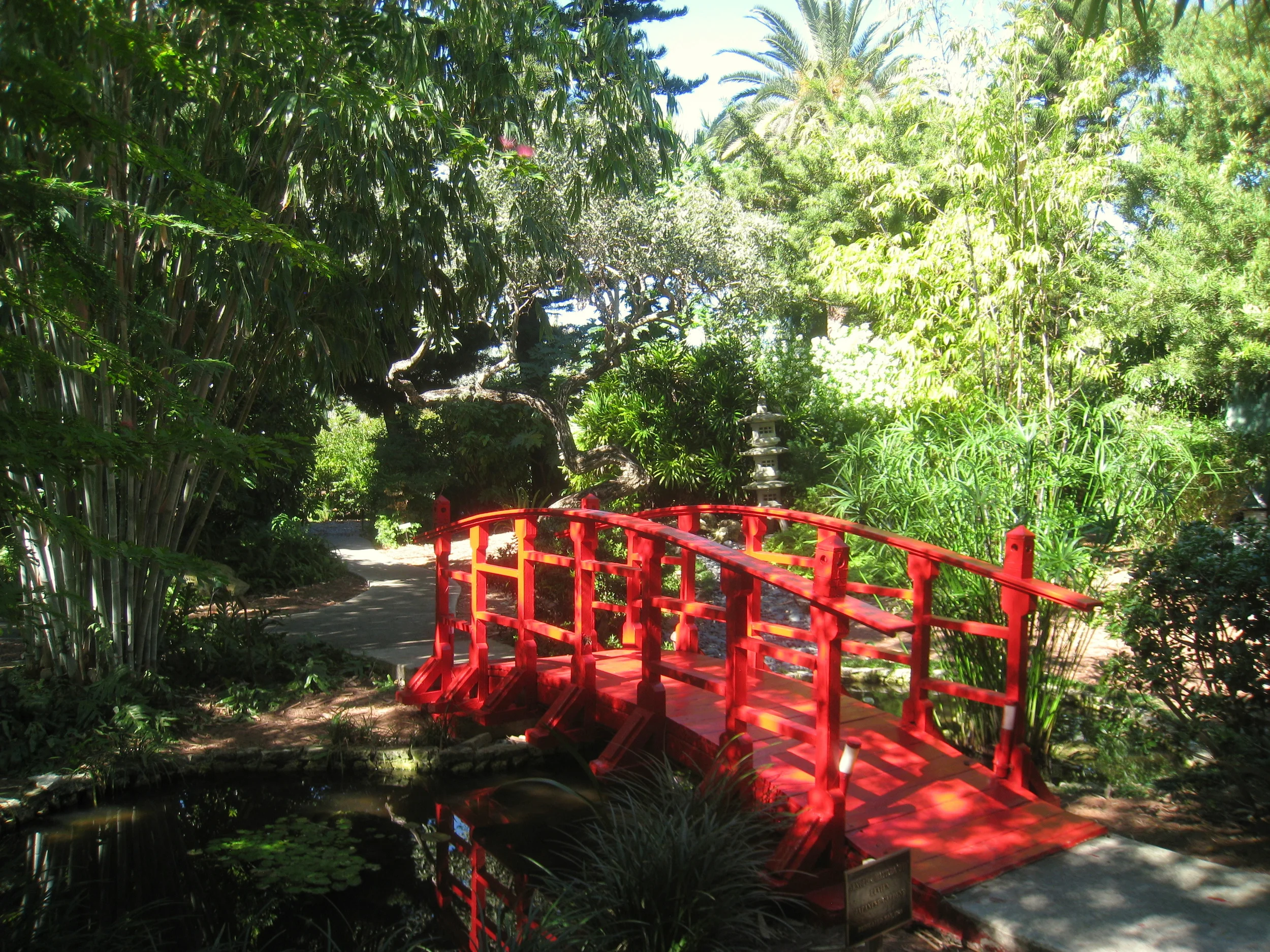 Miami_Beach_Botanical_Garden_-_IMG_8027.JPG