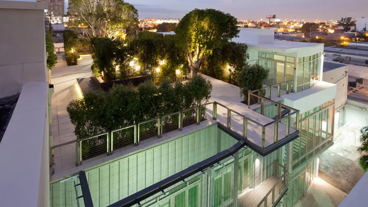about-slide-rooftop-garden.jpg