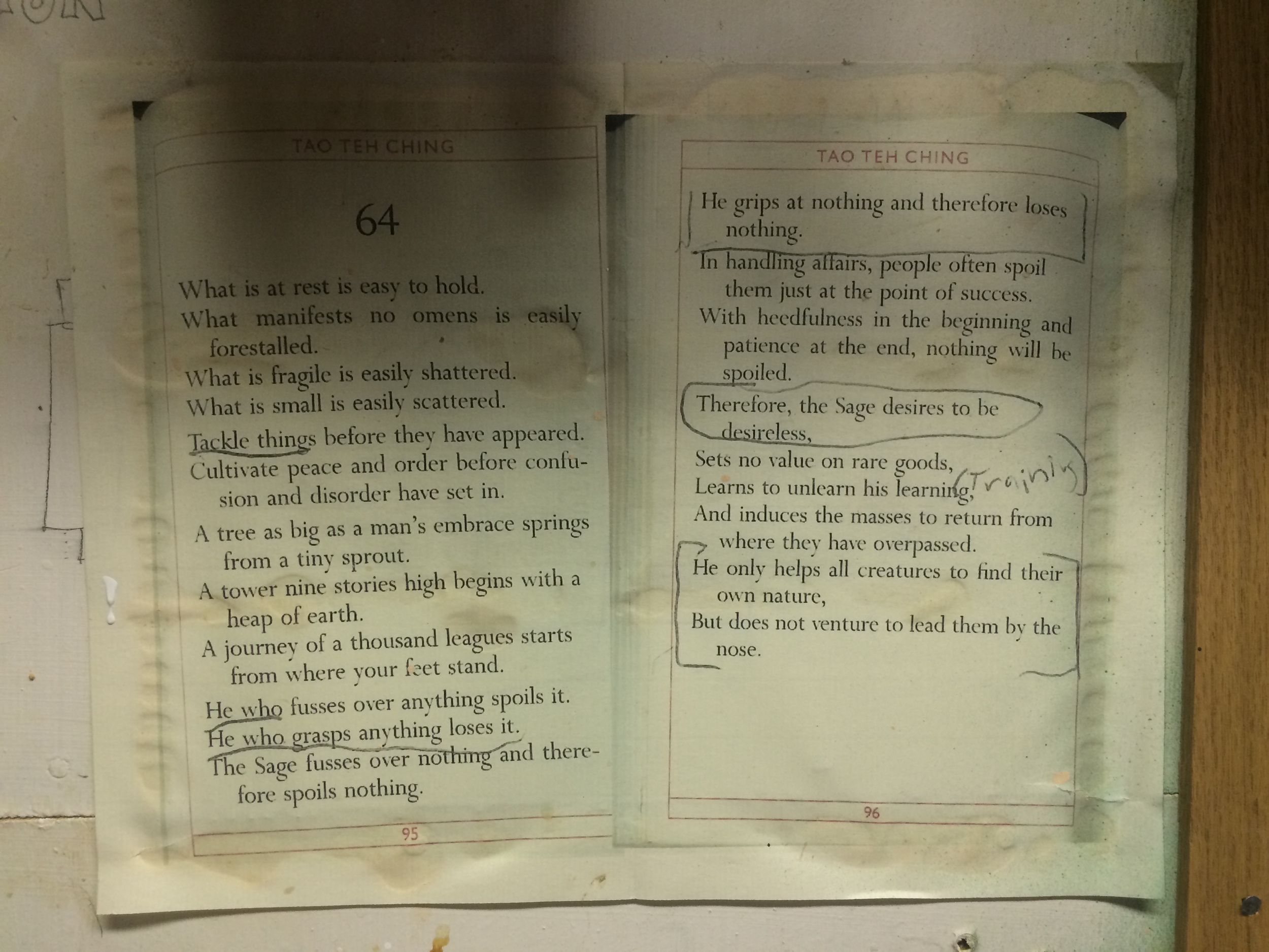 A passage from the Tao Te Ching hanging on Cullen's shop wall