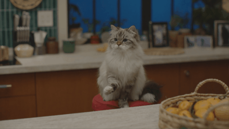 giphy copy 3.gif