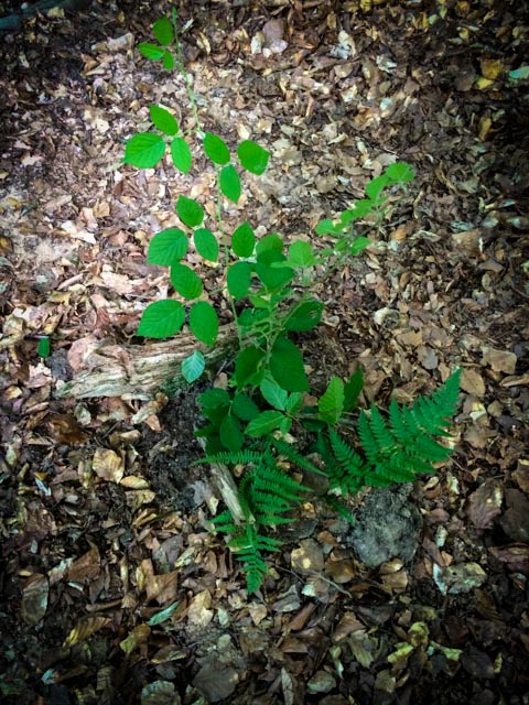 New beginnings... 