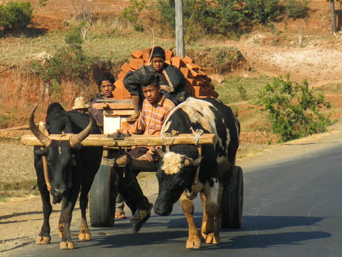 Transport...