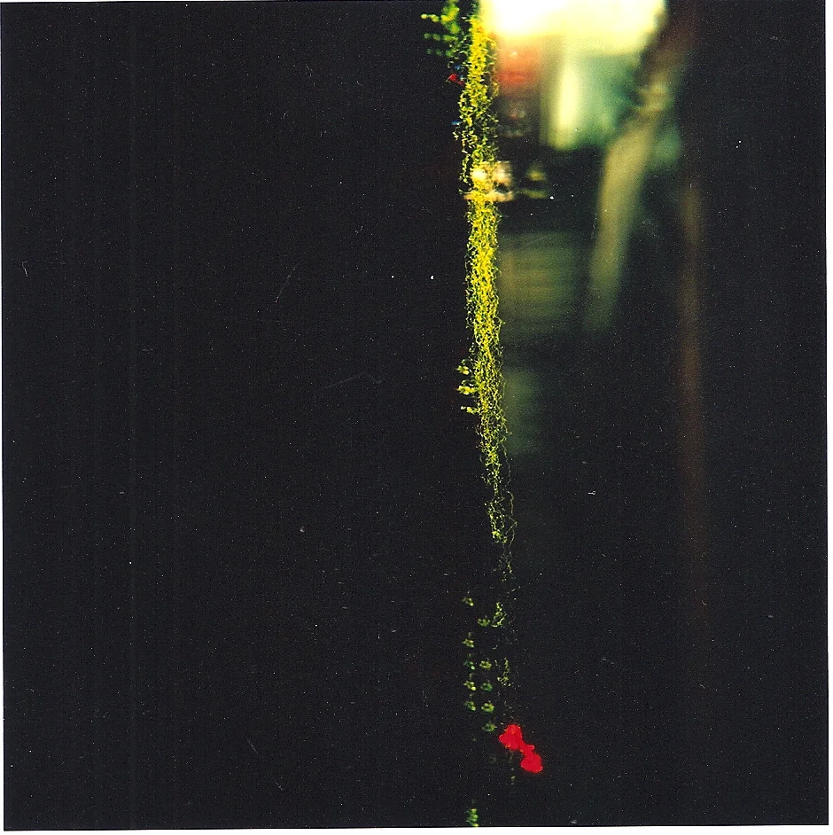 sc000b191b.jpg