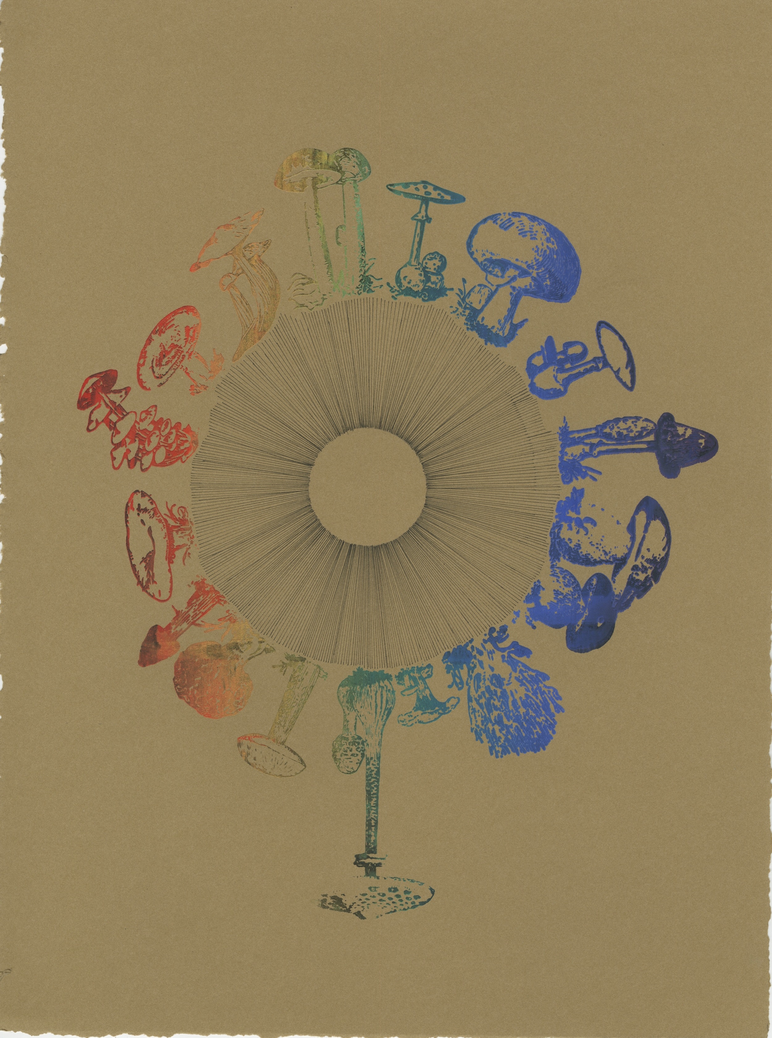 Fairy Ring