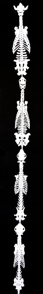  Spine of Spines (2017)  Monoprint 