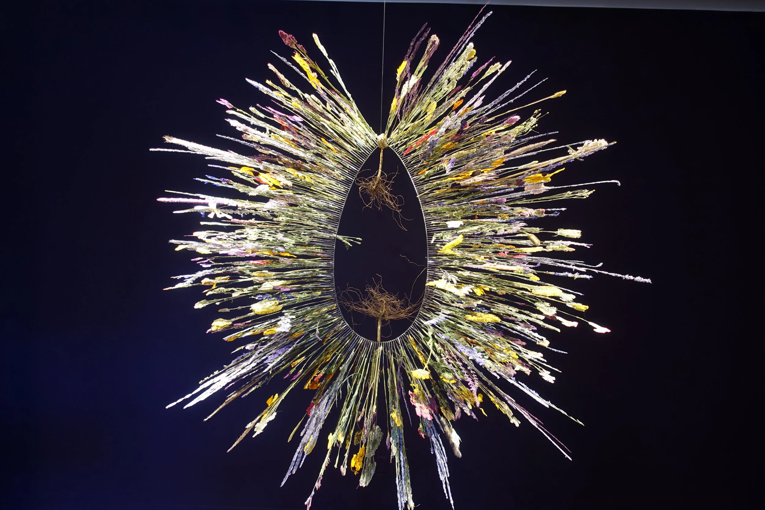 Cultivate (2020)RedLine Contemporary Art Centerpressed flowers, wire, table, chairs, live-cultured ferments15’ x 10’ x 4’Microbes found in fermentation processes reveal multiple modes of transformation. These microbes are beneficial to the human bod…