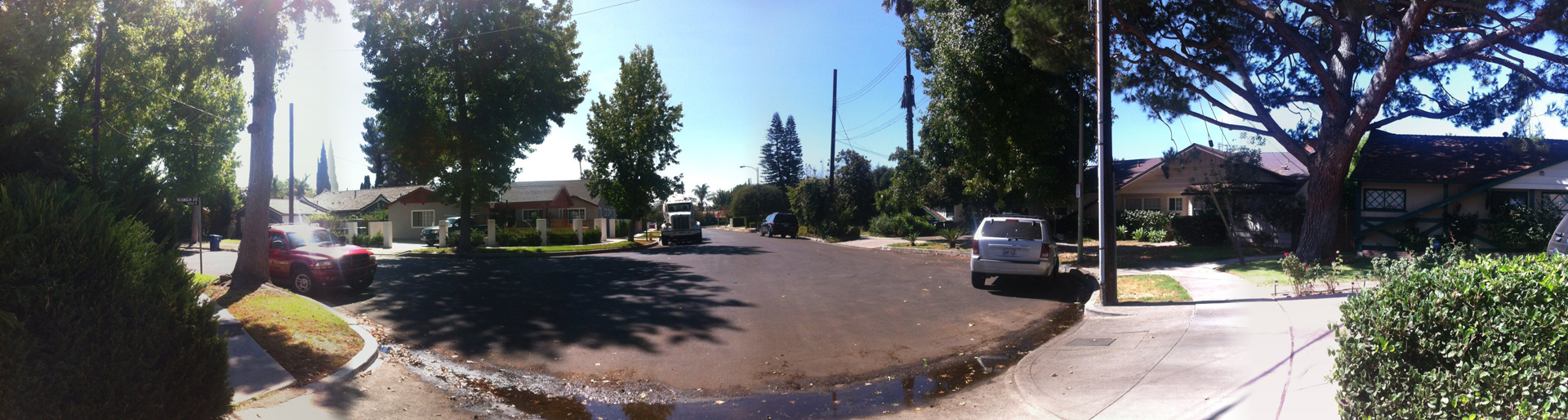 Standing on the driveway, looking out toward the street.
