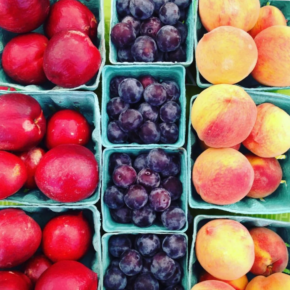 summer survival tips