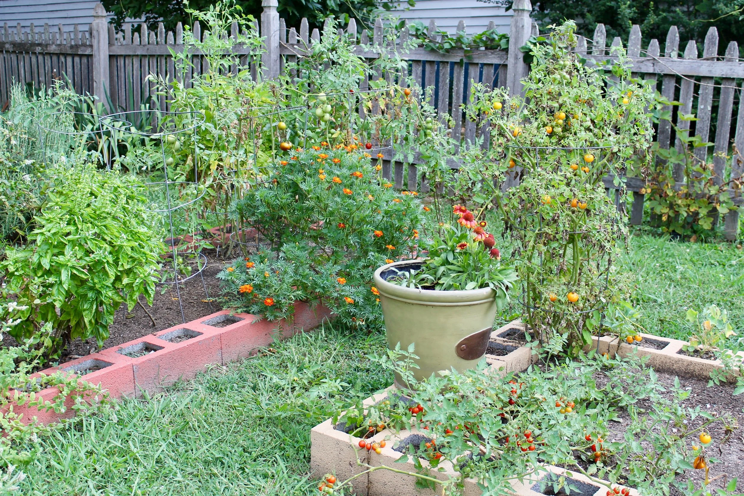 Raised beds in the front and side yard are home to tomatoes, peppers, and all kinds of herbs