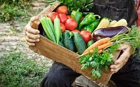 CSA share. Image source