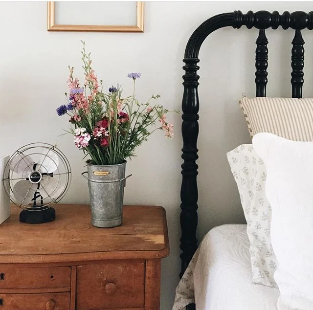 Image by Amanda Watters
