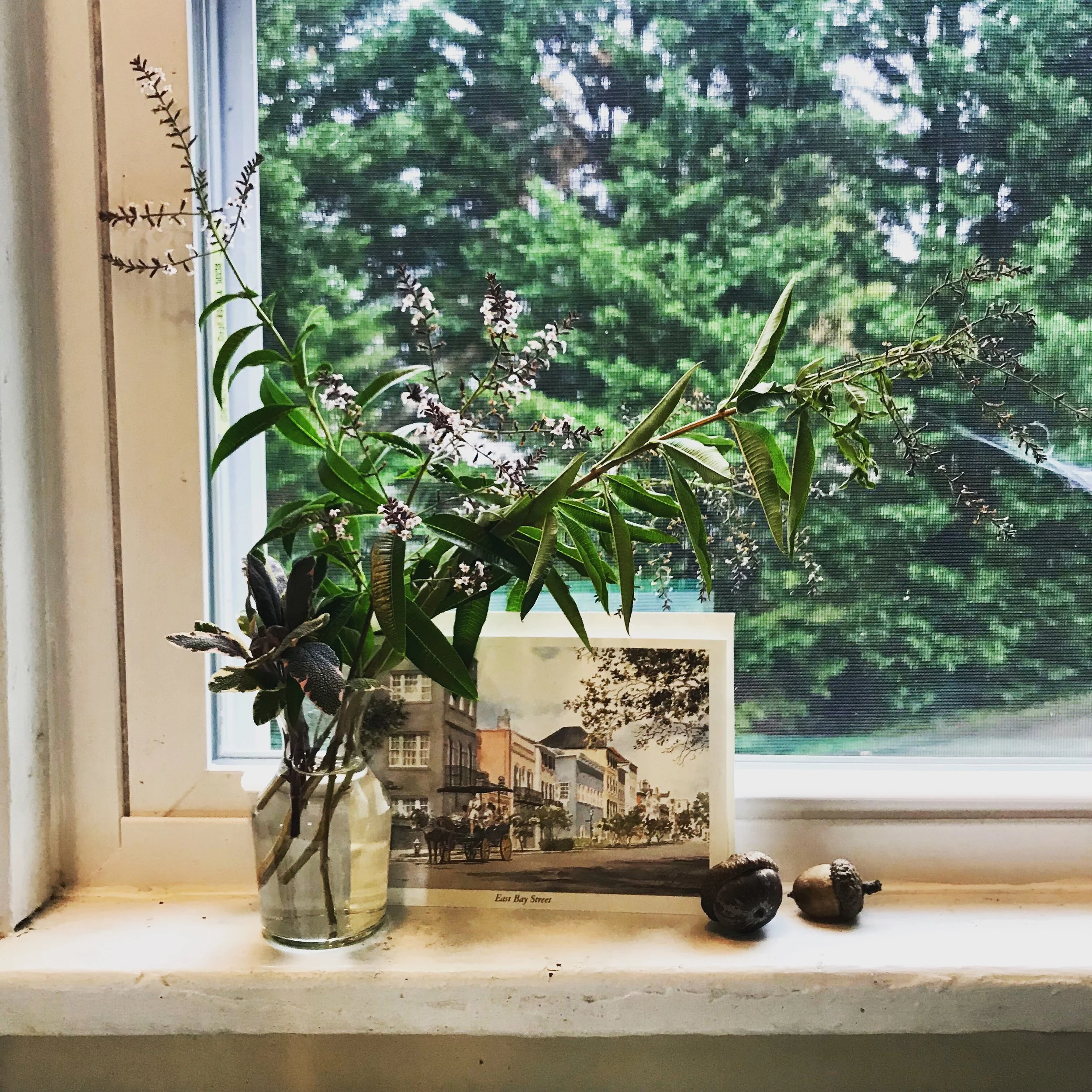 Items from a guest, a child & the garden.